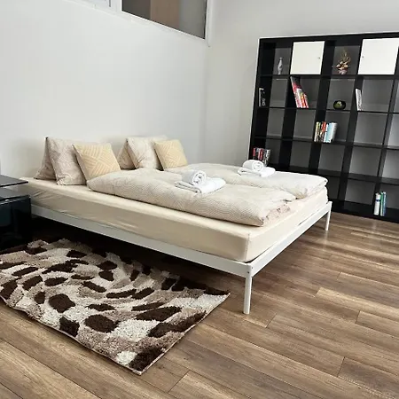 Newly Renovated 2 Downtown Appartement