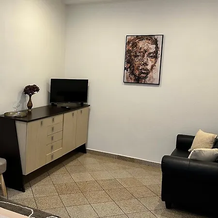 Apartment Newly Renovated 2 Downtown